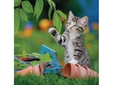 Ravensburger Puzzle Süsse Samtpfötchen