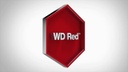 Western Digital Harddisk Red Plus 3.5, 12 TB