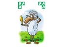 Ravensburger Kinderspiel Kinder Mau Mau