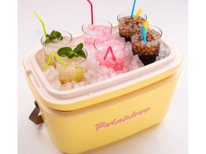 Polarbox Kühlbox Retro Cooler 20 L