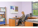 Legamaster Whiteboard PROFESSIONAL 90 cm x 120 cm, Grau/Weiss