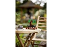 LEGO® Creator Bonsai Baum 10281