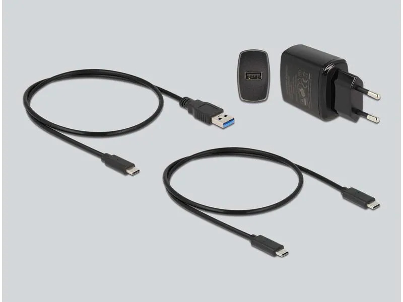 Delock Dockingstation für SSD mit SD Express und Card Reader