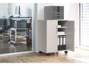 DURABLE Multifunktionswagen 74/53 Grau