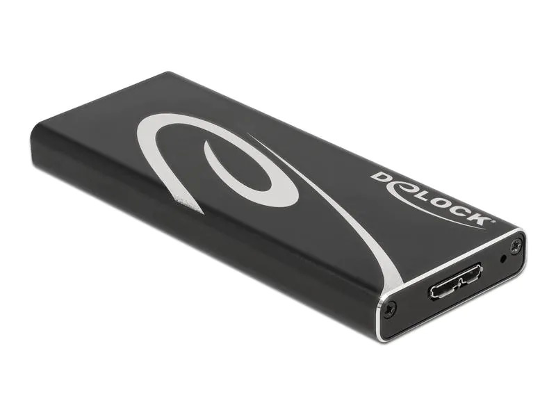 Delock Externes Gehäuse SuperSpeed USB 3.2 Gen 2 - SATA SSD M.2