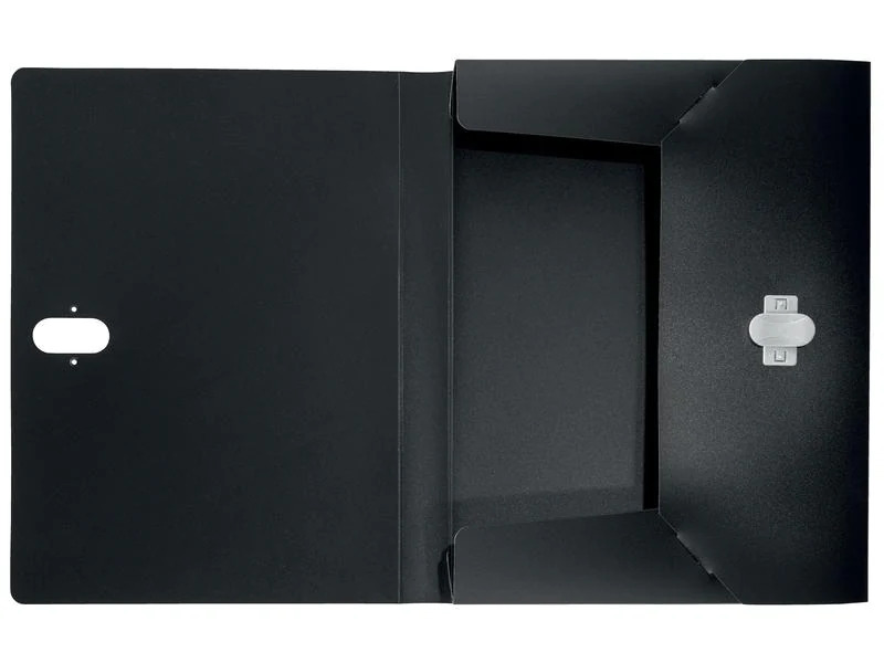 Leitz Einlagemappe Recycle Ablagebox A4 Schwarz