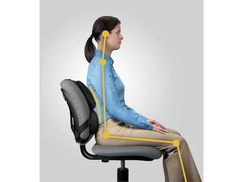 Fellowes Rückenstütze Professional