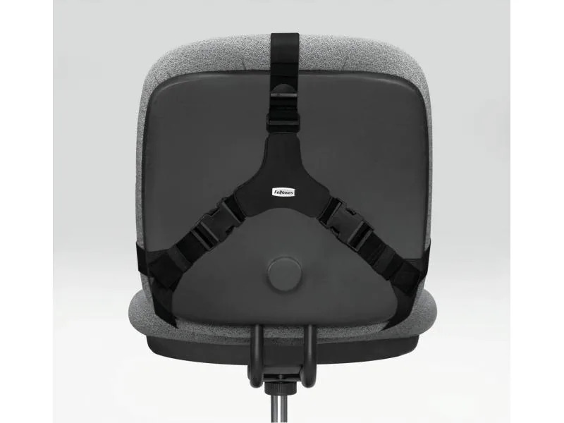 Fellowes Rückenstütze Professional