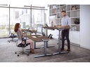 Fellowes Tischplatte Levado 160 x 80 cm, Walnuss