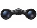 Nikon Fernglas Aculon T02 10x21 Schwarz