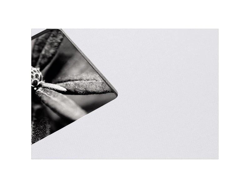 Hama Fotoalbum Fine Art 28 x 24 cm Kreide, 50 schwarze Seiten
