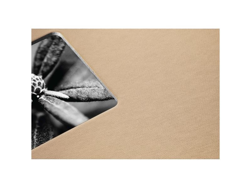Hama Fotoalbum Fine Art 28 x 24 cm Taupe, 50 schwarze Seiten