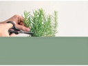 Herstera Hochbeet Urban Garden Standard, 100x40x84 cm, Opuntia Green