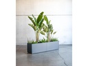 Herstera Pflanzentrog Metal Planter 50, 100 x 50 x 50 cm, Anthrazit
