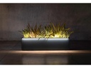 Herstera Pflanzentrog Metal Planter 50, 100 x 50 x 50 cm, Anthrazit
