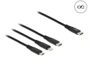 Delock USB-Ladekabel USB C - Lightning/Micro-USB B/USB C 0.3 m