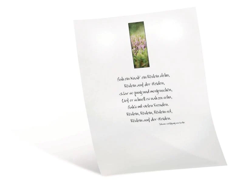 Folia Transparentpapier extra stark weiss Farbig sortiert