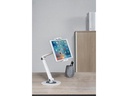 Neomounts by NewStar Standfuss DS15-550WH1