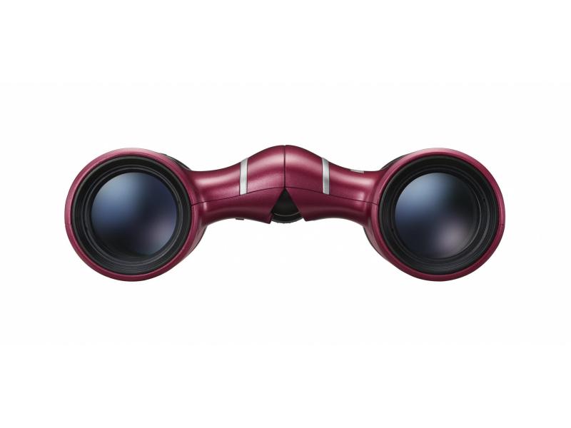 Nikon Fernglas T02 Aculon 8x21 Rot
