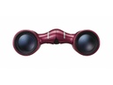 Nikon Fernglas T02 Aculon 8x21 Rot