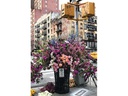 Ravensburger Puzzle Flowers in New York