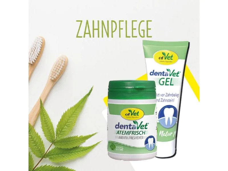 cdVet Zahnreinigung dentaVet Gel, 25 ml