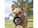 Kong Hunde-Spielzeug Extreme Ring Ø 12.5 cm, Schwarz