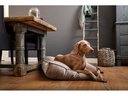 Designed by Lotte Hunde-Kissen Nalino, Grau