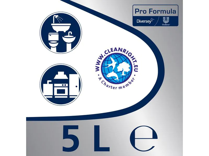 Diversey Pro Formula Küchenreiniger Cif Professional Cream 5 l