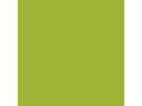 Amsterdam Acrylfarbe Standard Series Gelbgrün, halbdeckend, 500 ml