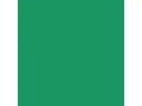 Amsterdam Acrylfarbe Standard Series Paul Veronesegrün, 120 ml