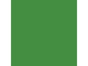 Amsterdam Acrylfarbe Standard Series Perm grün, H, halbdeck. 120 ml