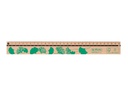 Herlitz Lineal GREENline 30 cm