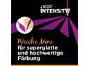 BIC Farbstifte Intensity Premium 36 Stück