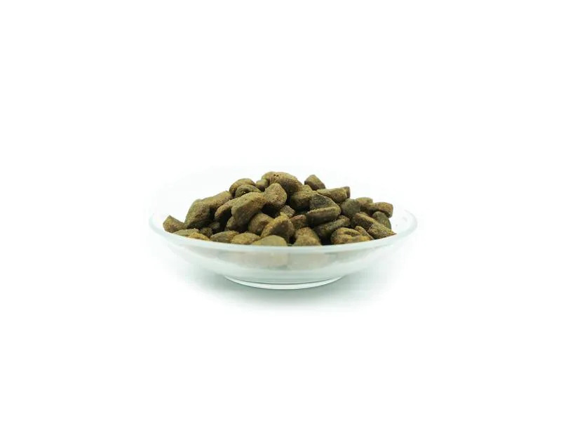 Bellfor Trockenfutter Wildbach-Schmaus Wildlachs &amp; Bachforelle,2.5kg