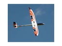 robbe Flugzeug CALIMA ARF