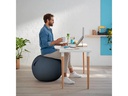 Leitz Sitzball Ergo Cosy Grau