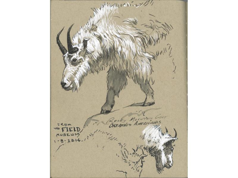 Faber-Castell Tuschestift PITT Artist Pen Black &amp; White 4 Stück