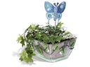 Folia Glitzerstifte Glue 10 Stück