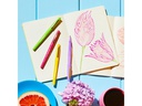 Paper Mate Fasermaler Flair Scented 12-teilig