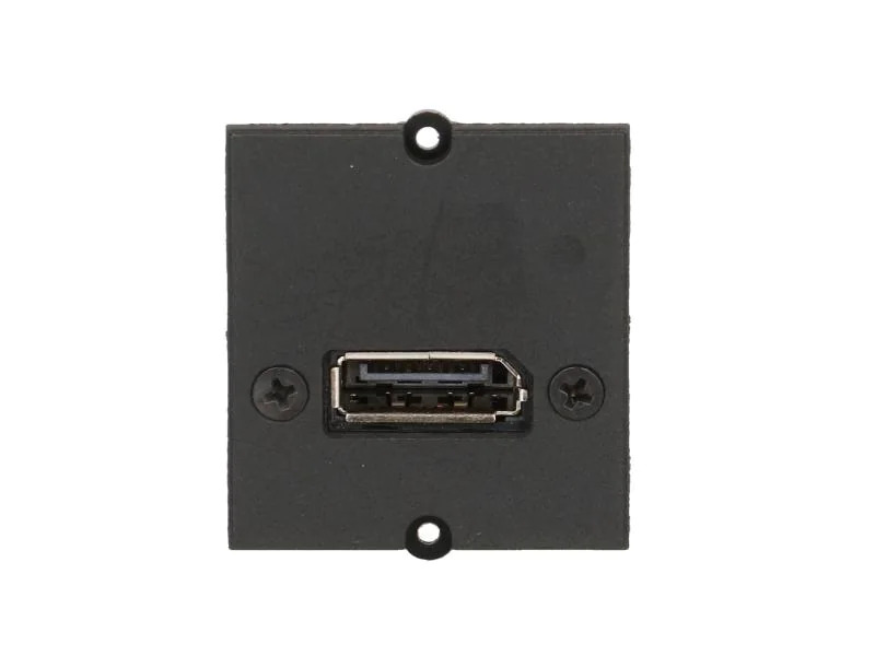 Bachmann Custom Modul 1x DisplayPort