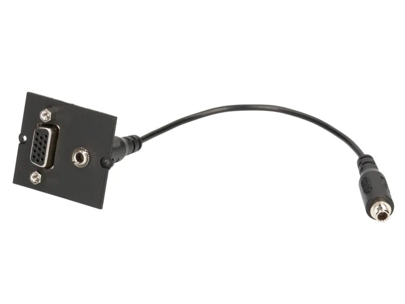 Bachmann Custom Modul VGA Miniklinke