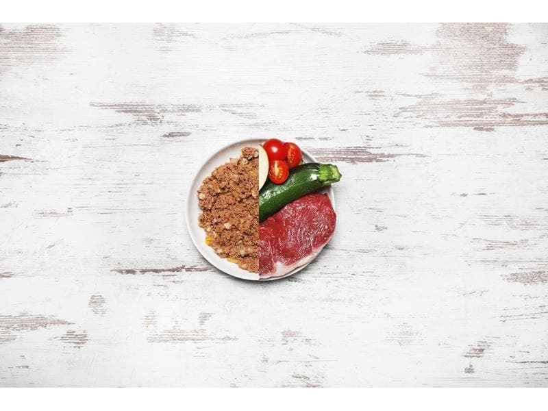 Dog's Love Nassfutter BIO Adult Rind, 400 g