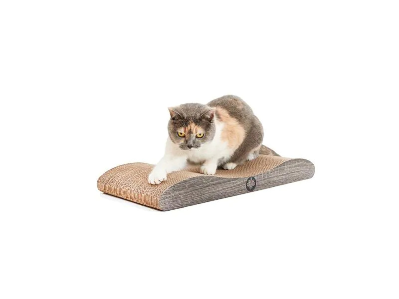 CanadianCat Kratzbrett Comet L, Dunkelgrau