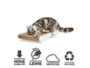 CanadianCat Kratzbrett Comet L, Hellgrau