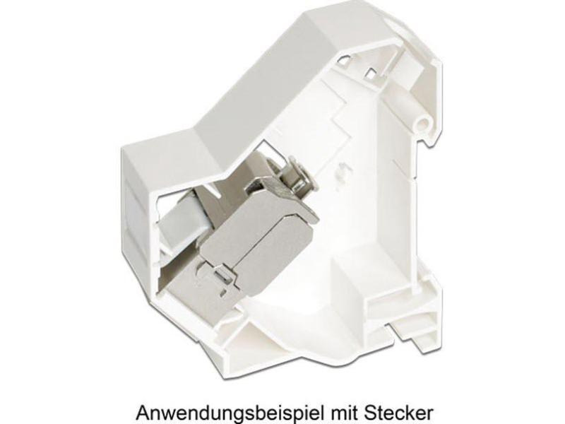 Delock Hutschienenhalter Keystone ohne Erdung