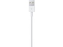 Apple USB 2.0-Kabel USB A - Lightning 2 m