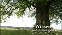 Faber-Castell Radiergummi DUST-FREE Weiss, 1 Stück