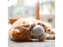 CanadianCat Katzen-Spielzeug Filzball mit Dufttasche