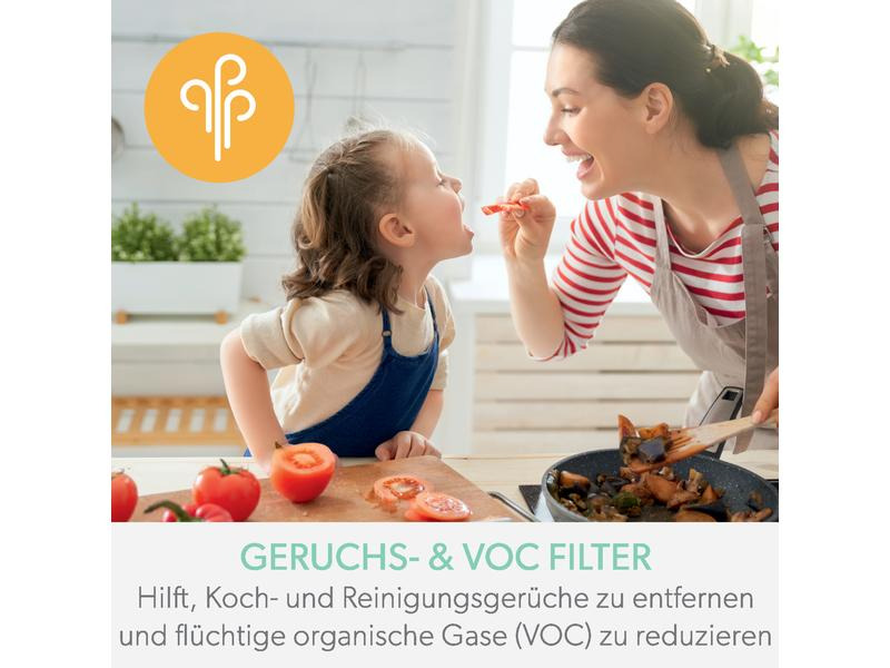 Leitz HEPA-Filter TruSens Gerüche und VOC 1 Stück